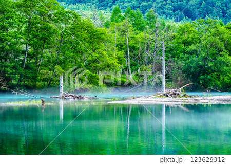 夏の上高地 朝霧の残る大正池 夏の上高地 朝霧の残る大正池 123629312