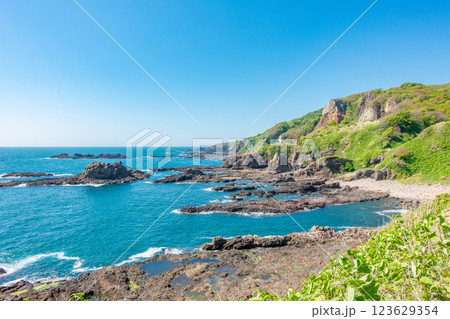 男鹿国定公園桜島園地　大黒島　鷹巣岩 123629354