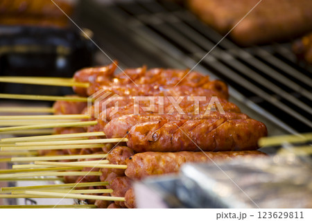 ボローニャ ソーセージ 腸詰め 123629811