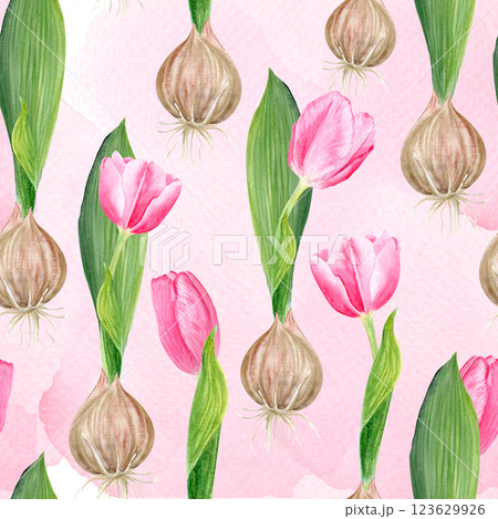 Pink tulip bulb flowers and a leaf watercolor seamless pattern on pink background. Hand painted flower. High quality clip art perfect for mother's day, women's day cards, seed packages, wrapping paper 123629926
