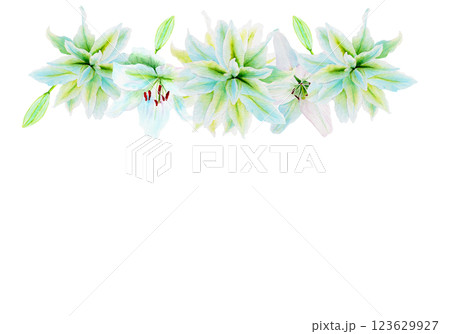 White lily flower garland watercolor illustration isolated on white. High quality clip art perfect for cards, posters, stickers, Easter, Passover, Holy Thursday, christening baptism wedding church White lily flower garland watercolor illustration isolated on white. High quality clip art perfect for cards, posters, stickers, Easter, Passover, Holy Thursday, christening baptism wedding church 123629927
