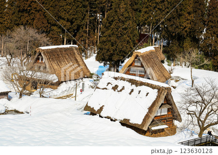 雪の積もった菅沼の合掌造り 123630128
