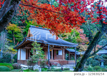 大原 大原 123630254