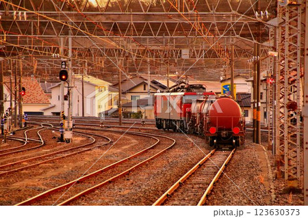 終焉が近づく伝統の貨物列車『安中貨物』 ~電気機関車EH500牽引 終焉が近づく伝統の貨物列車『安中貨物』 ~電気機関車EH500牽引 123630373