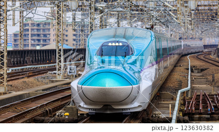 「埼玉県」大宮駅に入る東北新幹線・秋田新幹線　はやぶさ　こまち 123630382
