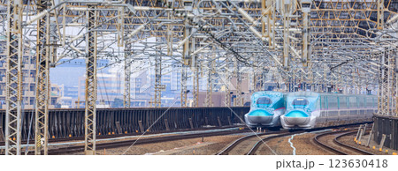 「埼玉県」大宮駅に入る東北新幹線・はやぶさ 123630418