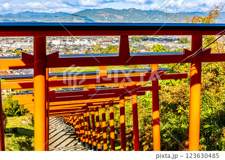 浮羽稲荷神社【福岡県うきは市】 123630485
