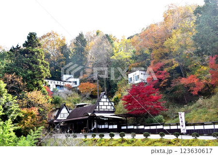 伊豆市 修善寺治自然公園近くのそば処ささやと色鮮やかな紅葉 伊豆市 修善寺治自然公園近くのそば処ささやと色鮮やかな紅葉 123630617