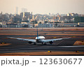 着陸した飛行機 123630677