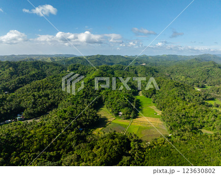 Agricultural fields and green forest in tropical island. Santa Fe, Tablas, Romblon. Philippines. 123630802