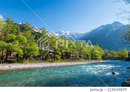 《初夏の上高地》河童橋周辺の新緑と残雪の穂高連峰 《初夏の上高地》河童橋周辺の新緑と残雪の穂高連峰 123630870