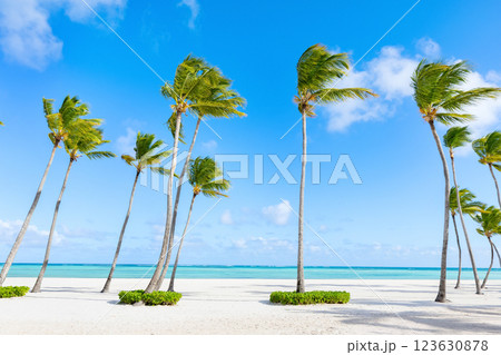 Peaceful ocean view scene with palms and white sand. Peaceful ocean view scene with palms and white sand. 123630878