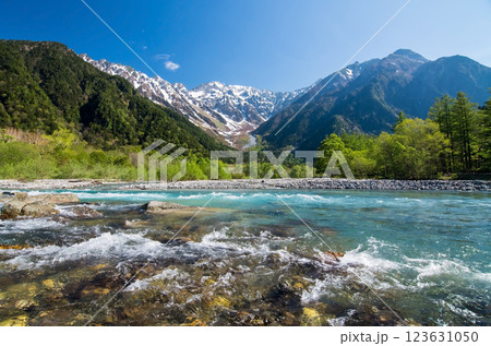 《初夏の上高地》河童橋周辺から望む穂高連峰と清流梓川 123631050