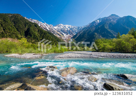 《初夏の上高地》河童橋周辺から望む穂高連峰と清流梓川 123631052