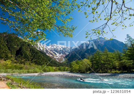 《初夏の上高地》河童橋周辺から望む穂高連峰と清流梓川 123631054
