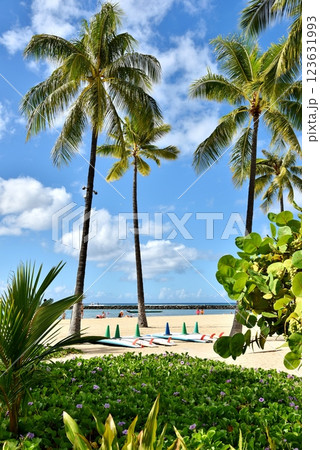 ハワイの休日 123631993