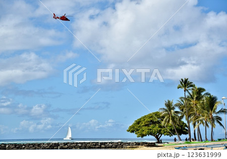 ハワイの休日 123631999