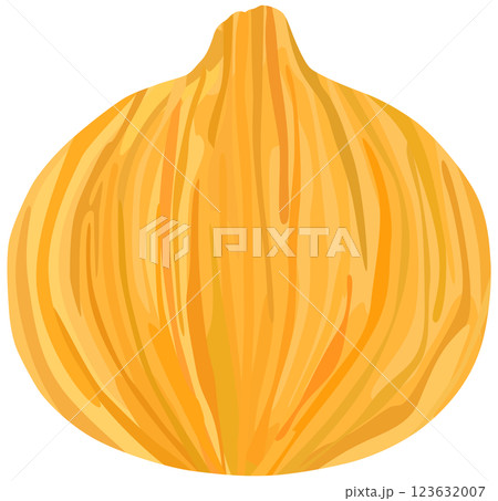 玉ねぎ 単体 ベクター素材 123632007