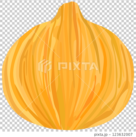 洋蔥單一向量素材 123632007