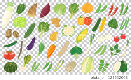 蔬菜集合向量素材 123632008
