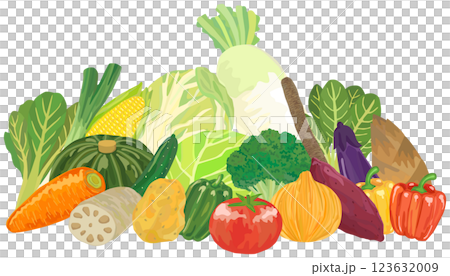 蔬菜集合向量素材 123632009
