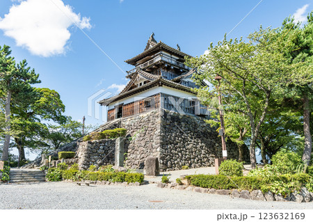 福井県坂井市　日本100名城　快晴の丸岡城天守 123632169