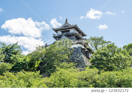 福井県坂井市　日本100名城　快晴の丸岡城天守 123632172