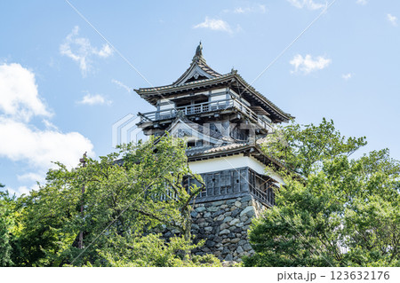 福井県坂井市　日本100名城　快晴の丸岡城天守 123632176