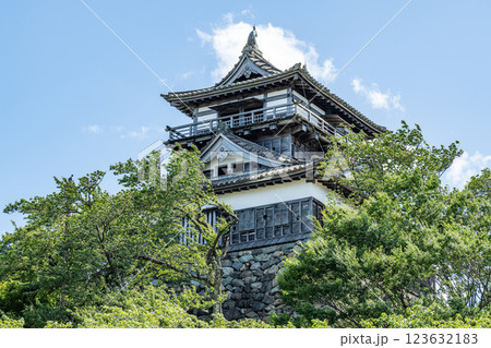 福井県坂井市　日本100名城　快晴の丸岡城天守 123632183