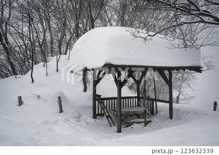 雪に埋もれた東屋 123632339