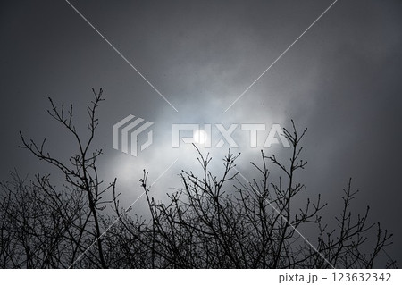 雲に隠れる太陽 123632342