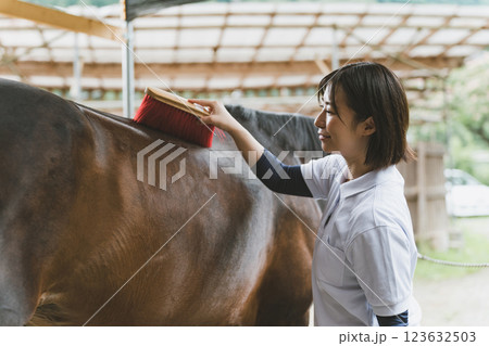 involved with horses 123632503