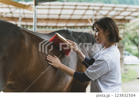 involved with horses 123632504