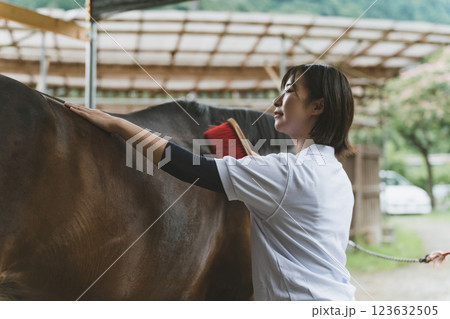 involved with horses involved with horses 123632505