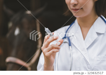 involved with horses 123632517