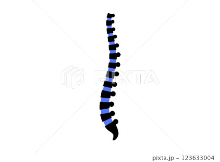 Spine medical poster Spine medical poster 123633004
