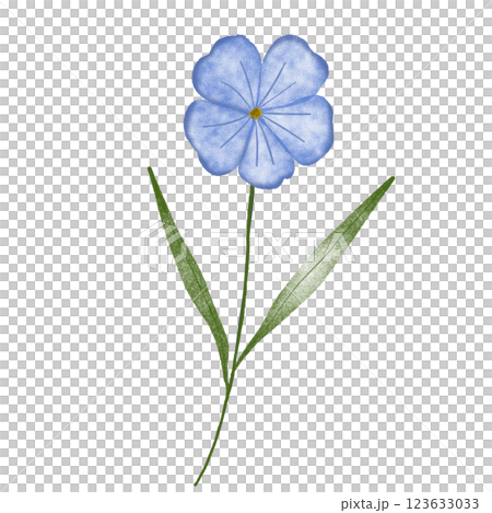 水彩で描いた青い花のイラスト 123633033