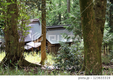 日本のマチュピチュ・50 日本のマチュピチュ・50 123633319