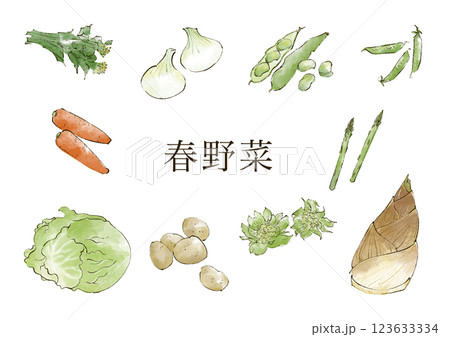 春野菜のイラストセット　水彩風 123633334