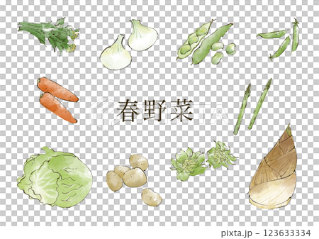 春野菜のイラストセット　水彩風 123633334