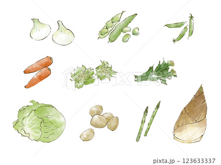 春野菜のイラストセット 水彩風 春野菜のイラストセット 水彩風 123633337