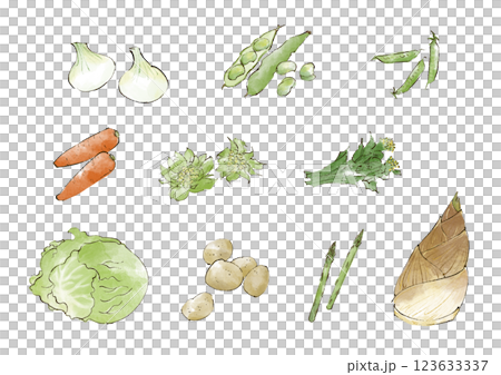 春野菜のイラストセット 水彩風 春野菜のイラストセット 水彩風 123633337