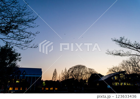 建物と星が見える公園の夕景 123633436