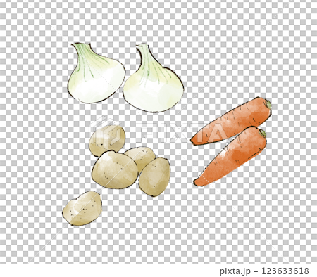 玉ねぎと人参とじゃがいものイラスト 123633618