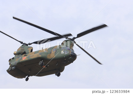 大型輸送ヘリコプター　CH-47J　陸上自衛隊の演習 123633984