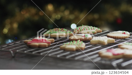 Freshly baked Christmas cookies cool on a wire rack, with copy space 123634504