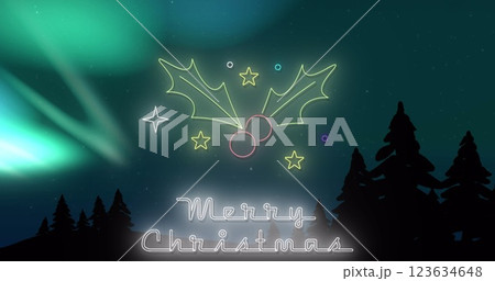 Image of merry christmas text over fir trees 123634648
