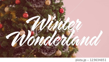 Image of winter wonderland text banner over decorated christmas tree against pink background 123634851