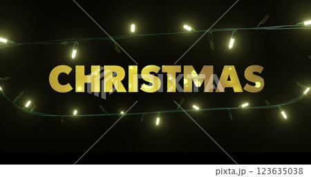 Image of christmas text over fairy lights on black background 123635038