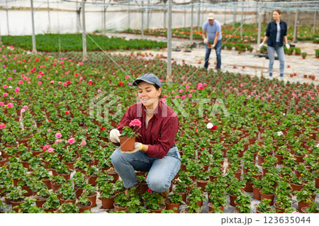 Young woman holding flower pot with peralgonium Young woman holding flower pot with peralgonium 123635044